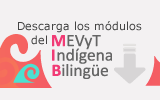 003_f2_banner_mib_2014-cursos.png